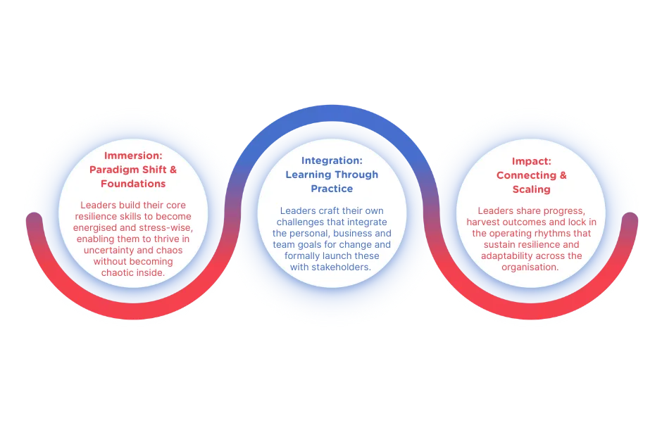 Adaptive Leadership Module Image