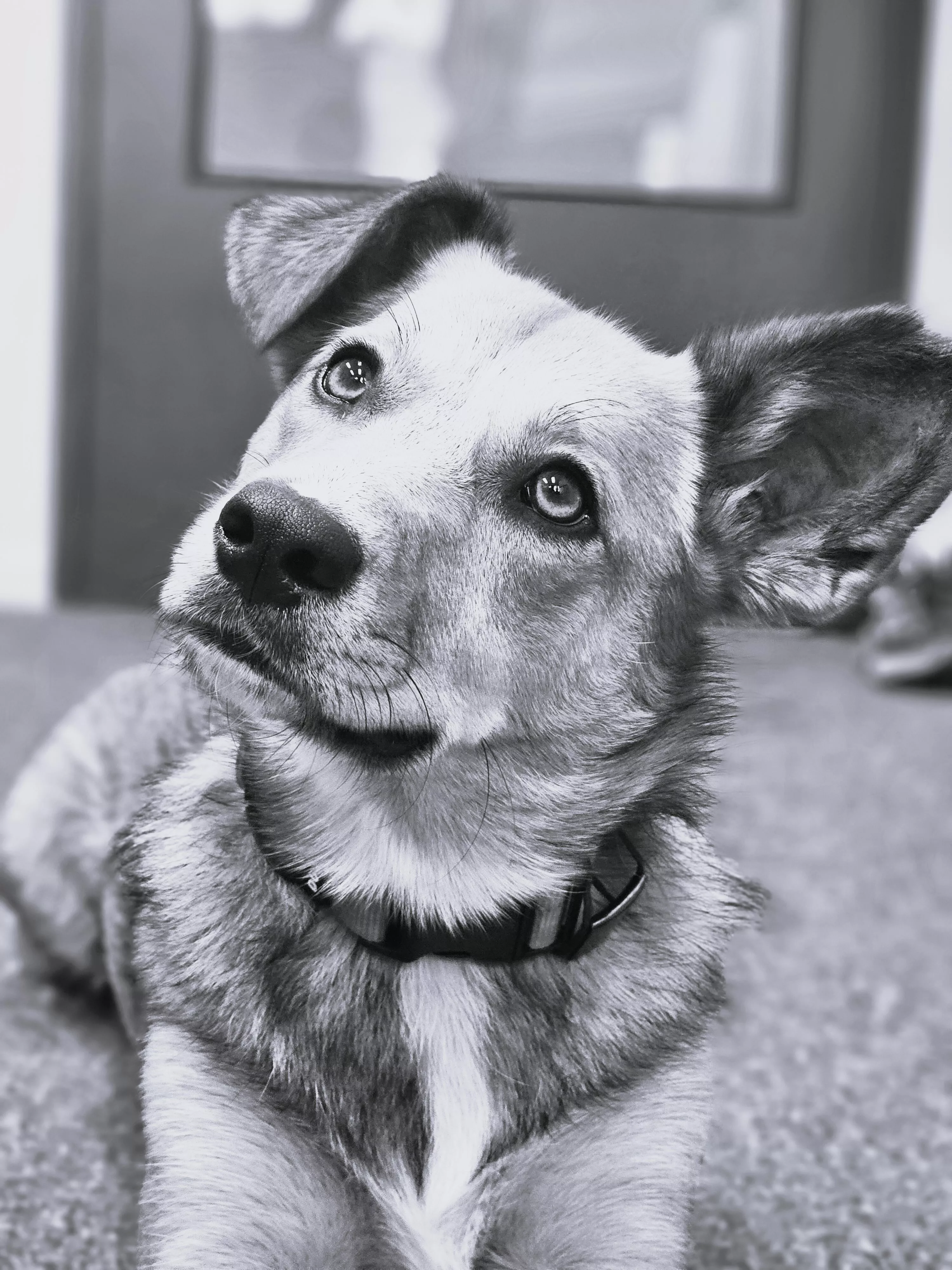 Mila Pic